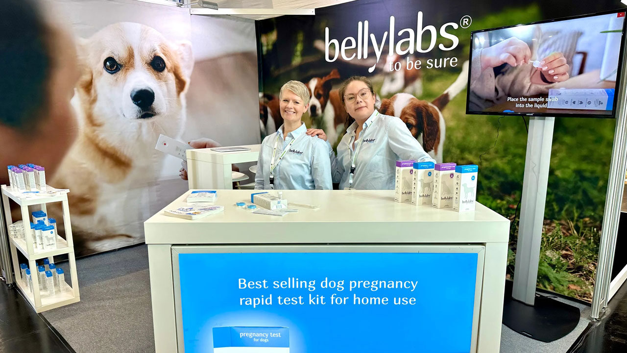 Bellylabs